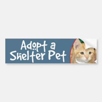 Autocollant De Voiture Adoptez un chaton tigré orange d'animal familier