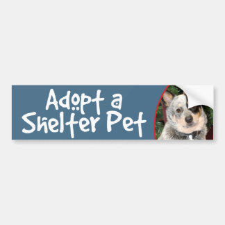 Autocollant De Voiture Adoptez un chien australien de bétail d'animal