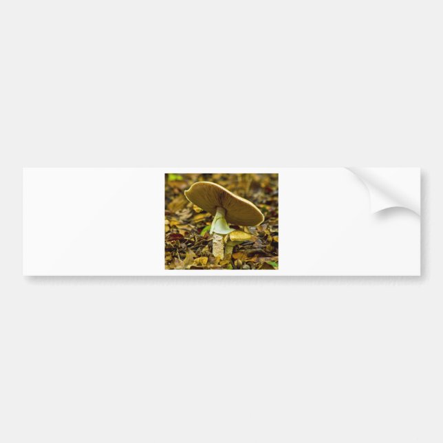 Autocollant De Voiture Agaric de mouche jaune-orange (Devant)