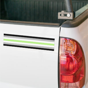 Autocollant De Voiture Agender Pride