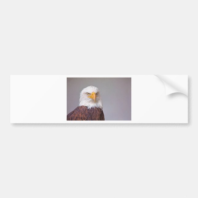 Autocollant De Voiture Aigle (Devant)
