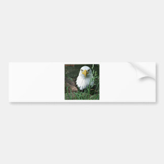 Autocollant De Voiture aigle chauve