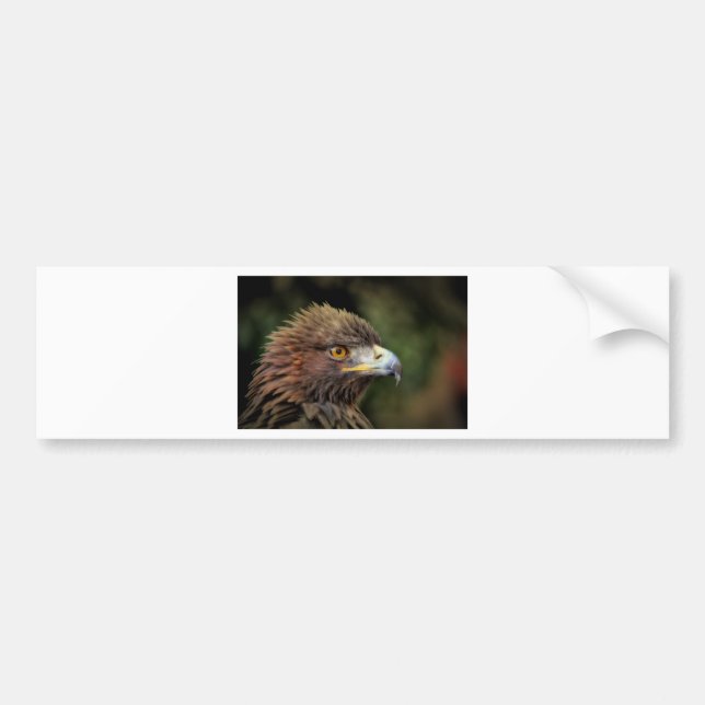 Autocollant De Voiture aigle royal (Devant)