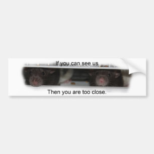 Autocollant De Voiture Alimentez-moi Rattie