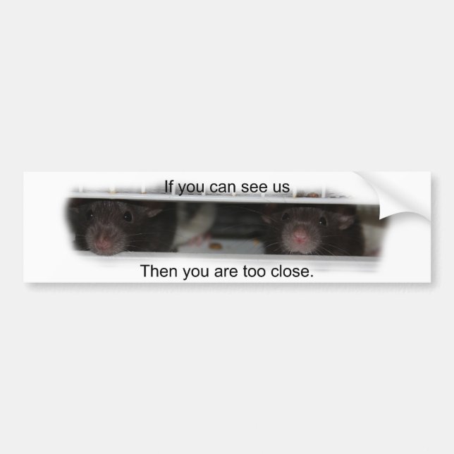 Autocollant De Voiture Alimentez-moi Rattie (Devant)