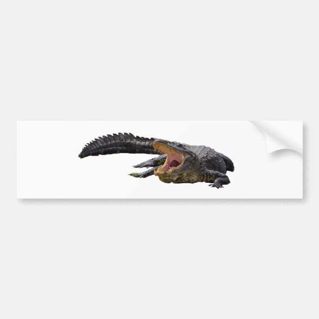 Autocollant De Voiture Alligator (Devant)