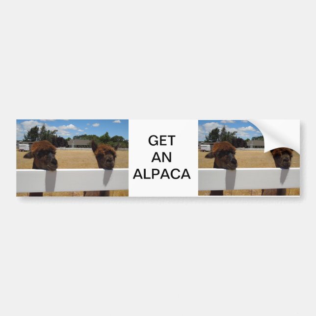 Autocollant De Voiture Alpaga dans Templeton, la Californie (Devant)