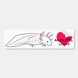 Autocollant De Voiture Amant d'Axolotl avec le coeur
