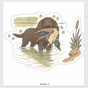 Autocollant de voiture American Water Spaniel