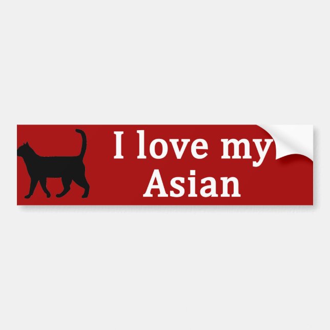 Autocollant De Voiture Amour asiatique (Devant)