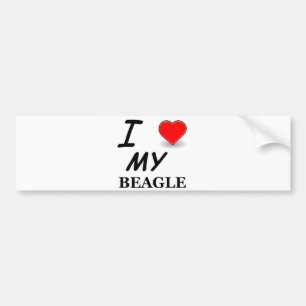 Autocollant De Voiture Amour beagle
