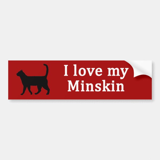 Autocollant De Voiture Amour Minskin (Devant)