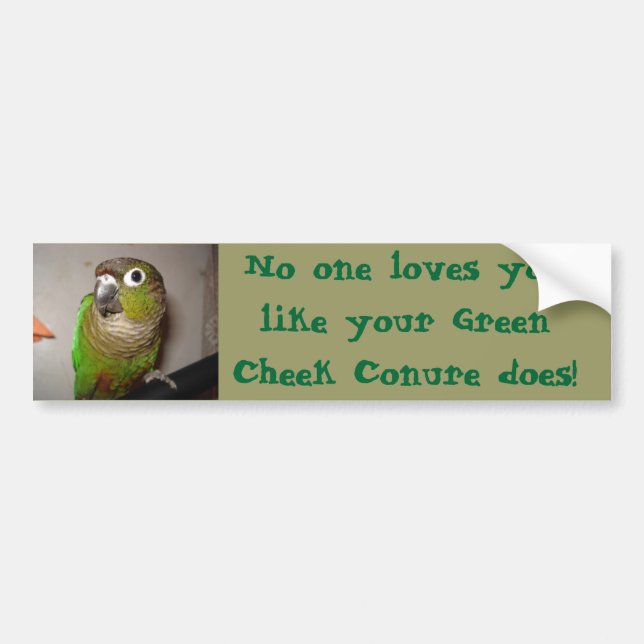 Autocollant De Voiture Amour vert de Conure de joue (Devant)