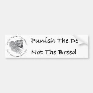 Autocollant De Voiture Ange de Zeus