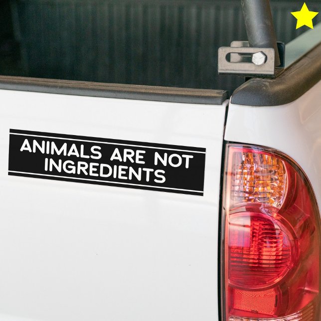 Autocollant De Voiture Animal Rights Phrase Vegan Vegetarian Saying (Créateur téléchargé)