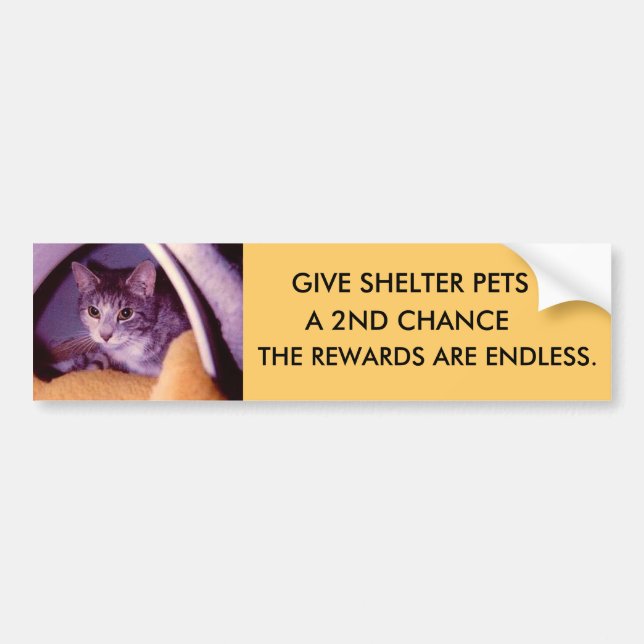 AUTOCOLLANT DE VOITURE ANIMAUX FAMILIERS (Devant)