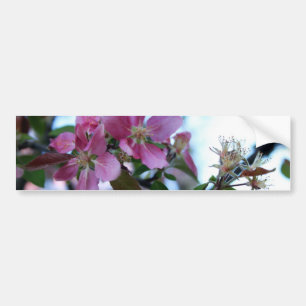 Autocollant De Voiture Apple fleurissent adhésif pour pare-chocs