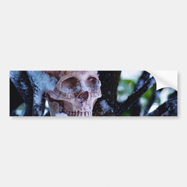 Autocollant De Voiture Arcane Hiver I (Devant)