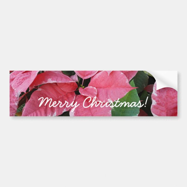 Autocollant De Voiture Argent Star Marbre Poinsettias Pink Holiday Floral (Devant)