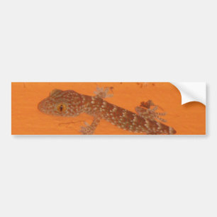 Autocollant De Voiture Baby Tokay Gecko