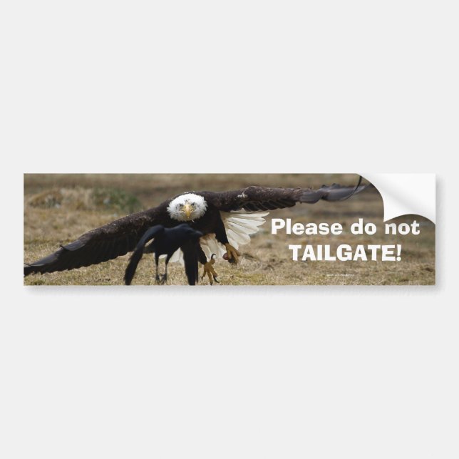Autocollant De Voiture Bald Eagle et Raven Chase Funny Bumpersticker (Devant)