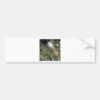 Autocollant De Voiture Barn Owl