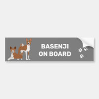 Basenji Hound À Bord Rouge Blanc