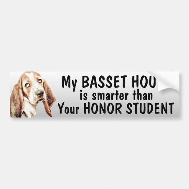 Autocollant De Voiture Basset Hound est plus futé que l'étudiant (Devant)