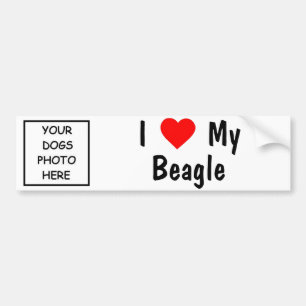 Autocollant De Voiture Beagle