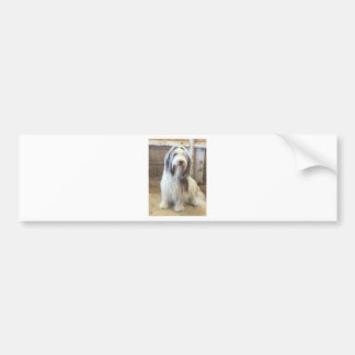 Autocollant De Voiture Bearded Collie