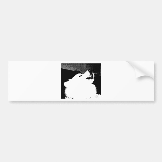 Autocollant De Voiture Beau chien velu de blanc de Samoyed (Devant)