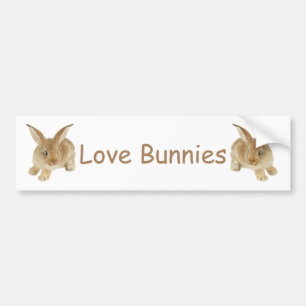 AUTOCOLLANT DE VOITURE BÉBÉ BUNNY