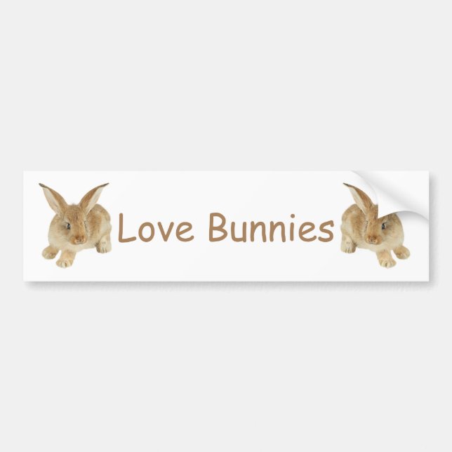 AUTOCOLLANT DE VOITURE BÉBÉ BUNNY (Devant)