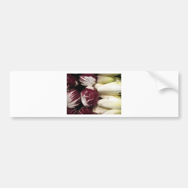 Autocollant De Voiture Belgique Endigo (Devant)