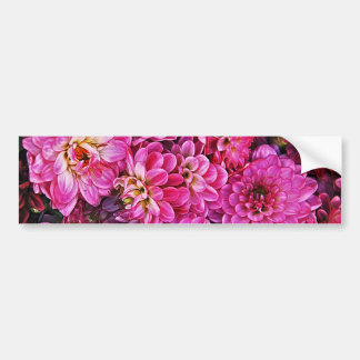 Autocollant De Voiture Belles dahlias roses