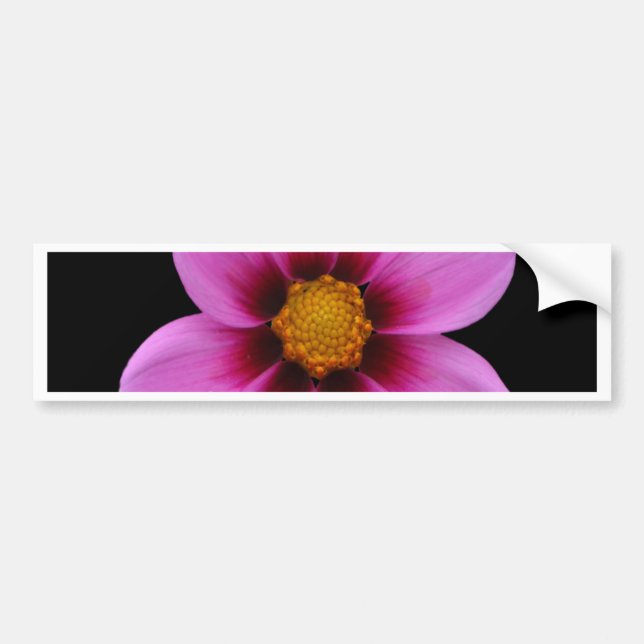 Autocollant De Voiture Belles fleurs (Devant)