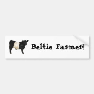 Autocollant De Voiture Beltie Farmer Gorgeous Belge Galloway Cow Steer
