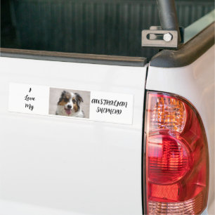 Autocollant De Voiture berger australien merle