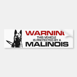 Autocollant De Voiture Berger belge - adhésif pour pare-chocs de Malinois