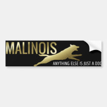 Berger belge - adhésif pour pare-chocs de Malinois