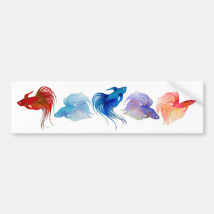 Autocollant De Voiture Betta Fishes