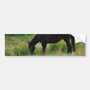 Autocollant De Voiture Black Horse : yellow flowers