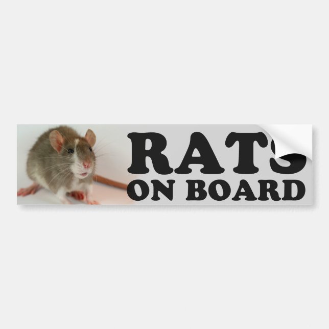 Autocollant De Voiture (Blazed) Rats on board (Devant)