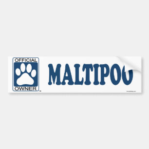 Autocollant De Voiture Bleu de Maltipoo
