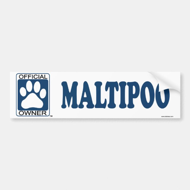 Autocollant De Voiture Bleu de Maltipoo (Devant)