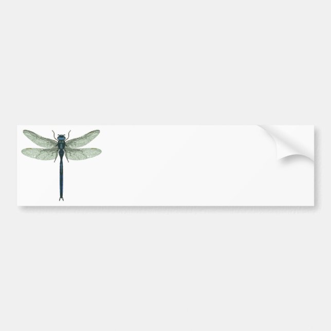 Autocollant De Voiture Blue Dragonfly (Devant)
