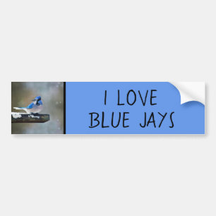 Autocollant De Voiture Blue Jay Painting - Original Bird Art