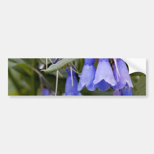 Autocollant De Voiture Bluebells