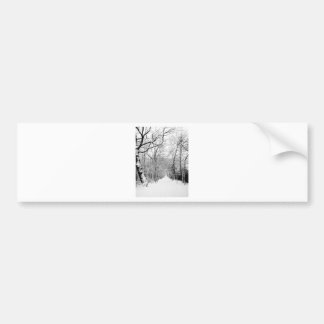 Autocollant De Voiture Bois d'hiver froid