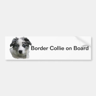 Autocollant De Voiture Border collie